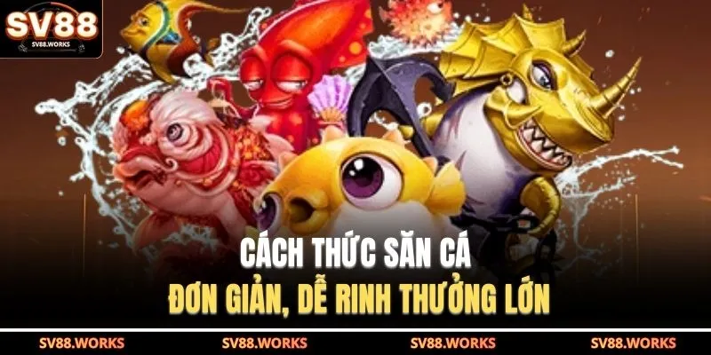 Cách thức săn cá đơn giản, dễ rinh thưởng lớn
